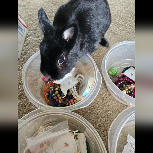 6mm White Opal Bracelet - Picture 9 of 12